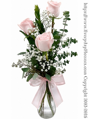 Simple Expressions of Admiration Light Pink Rose Bouquet