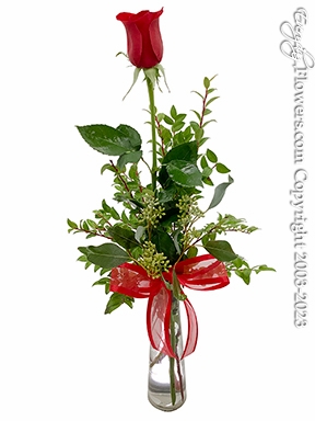 Single Rose Delivery