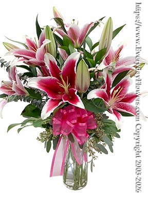 Stargazer Lilies