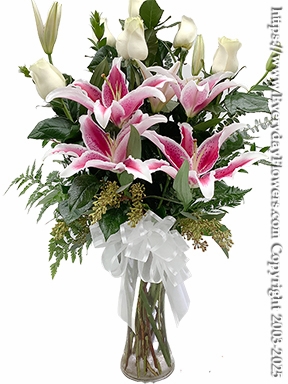 Stargazer Lilies