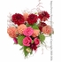 Summer Dahlias <p style="color:red;">Just Added 6/9/2026</p>
