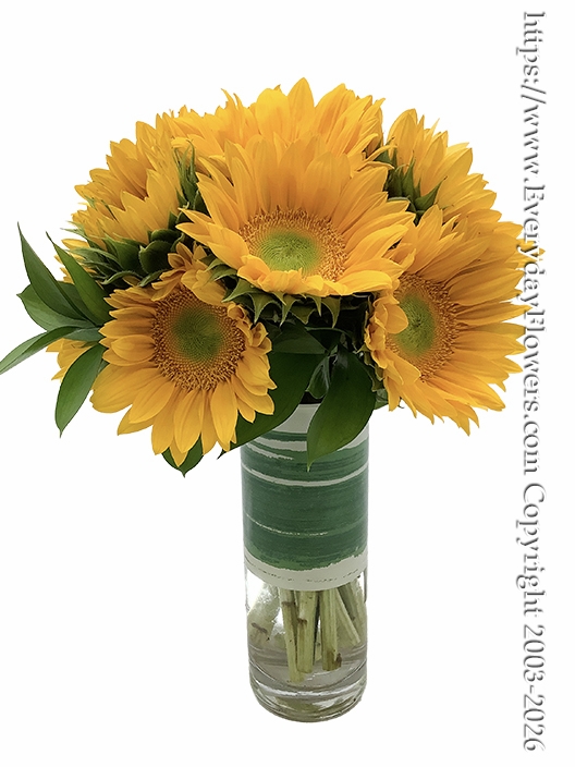 Sunbeam Sunflowers