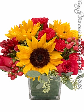 Sunflower Kisses