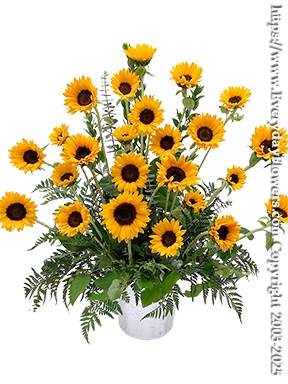 Sunflowers For Memorial Service