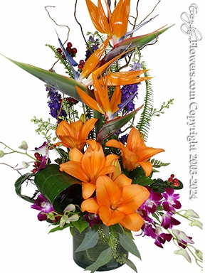 Sunset Birds Of Paradise