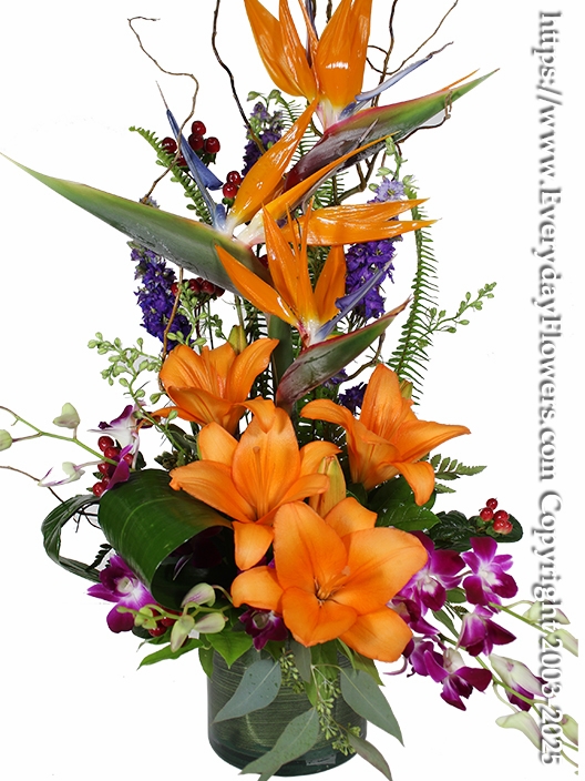 Sunset Birds Of Paradise