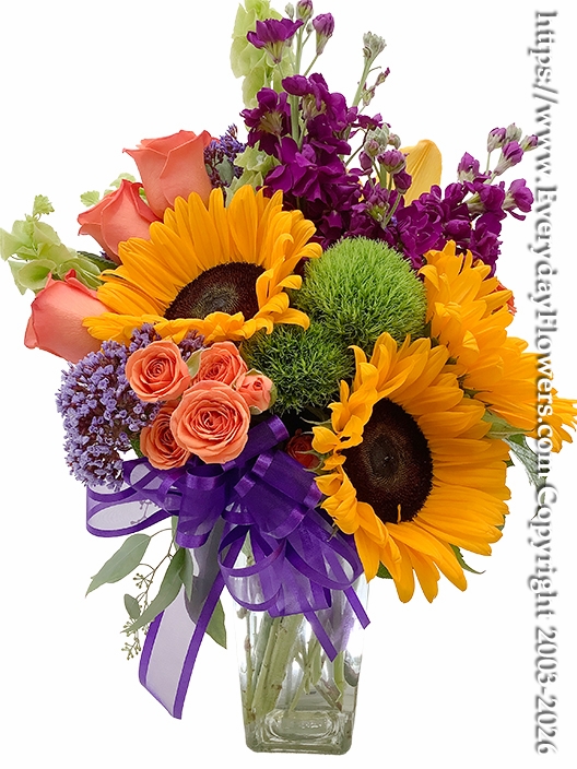 Sunshine & Purple Blooms