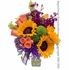 Sunshine & Purple Blooms