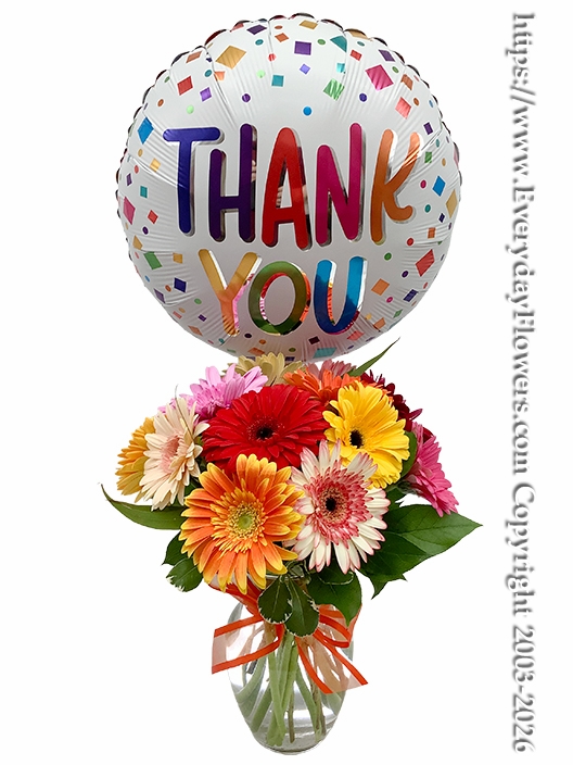 Thank You Daisies - Same Day Orange County Delivery