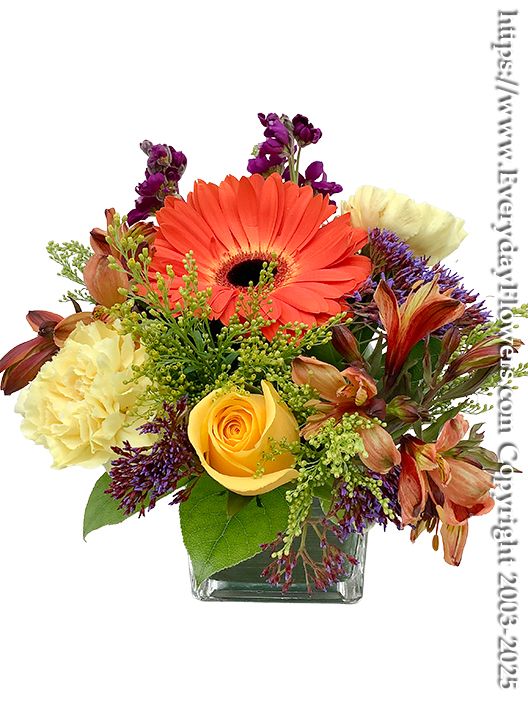 Thinking Of You Orange Flowers Front View Thinking Of You Orange Flowers Front View