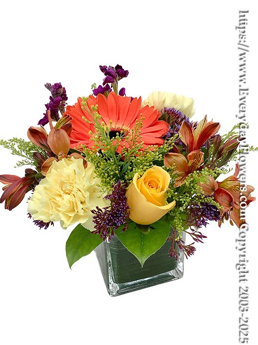 Thinking Of You Orange Flowers Side View Thinking Of You Orange Flowers Side View