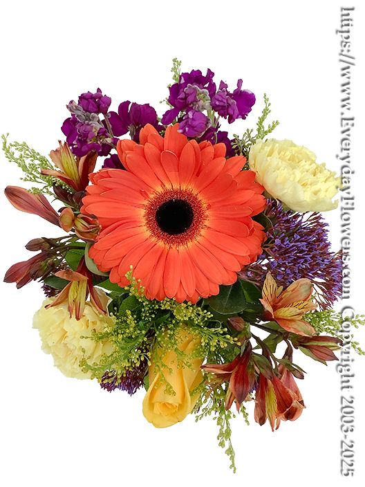 Thinking Of You Orange Flowers Top View Thinking Of You Orange Flowers Top View
