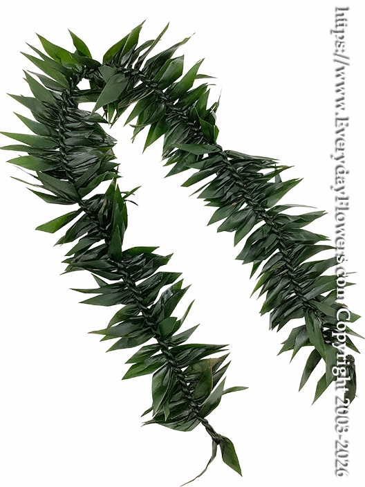 Ti Leaf Lei Maile Lei <p style="color:red;">Only One Available This Week 5/28/2026</p>
