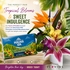 Touch of Paradise