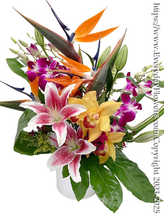 Touch Of Paradise - Tropical Flower Arrangement For Delivery in Orange County, CA