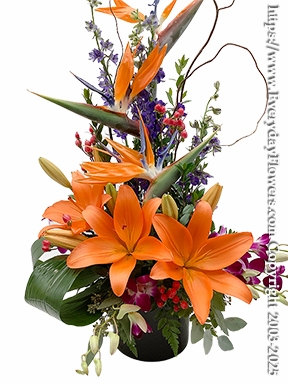 Tropical Flowers