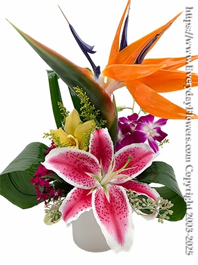 Tropical Flowers