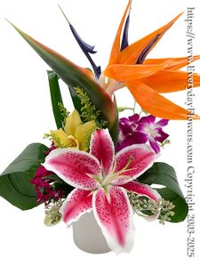 Tropical Flowers