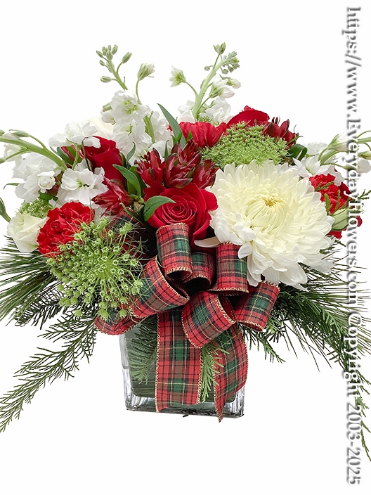 Twas the night before Christmas