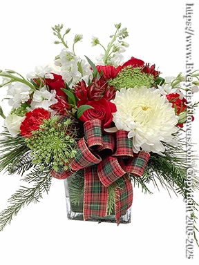 Twas the night before Christmas