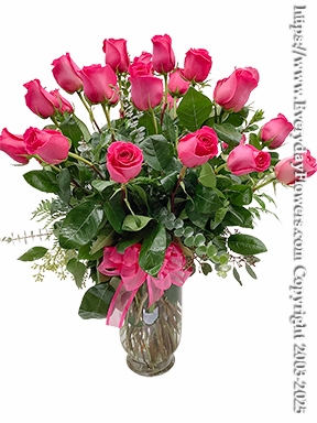 Two Dozen Hot Pink Roses
