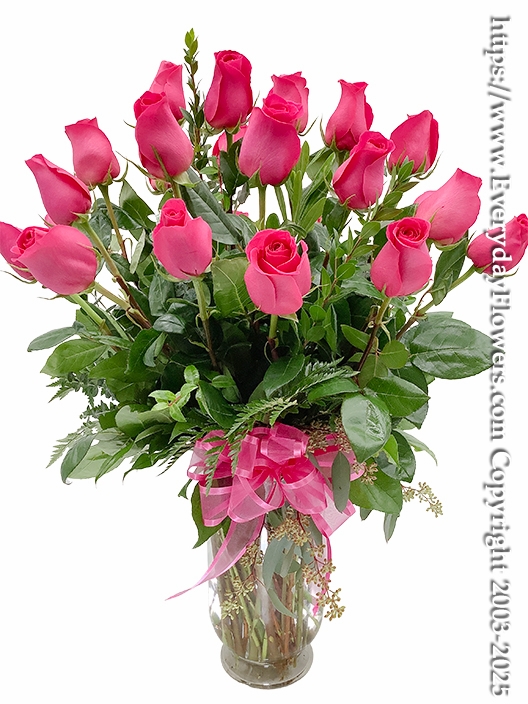 Two Dozen Hot Pink Roses