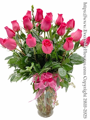 Two Dozen Hot Pink Roses