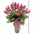 Two Dozen Hot Pink Roses