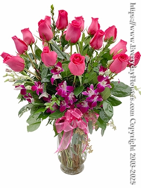 Two Dozen Hot Pink Roses With Orchids