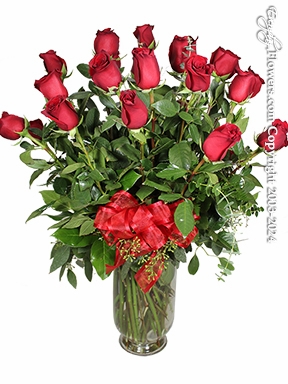 Two Dozen Red Roses