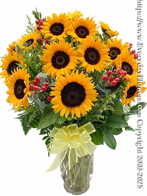 Two Dozen Sunflowers