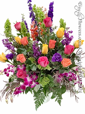 Vibrant Tribute
