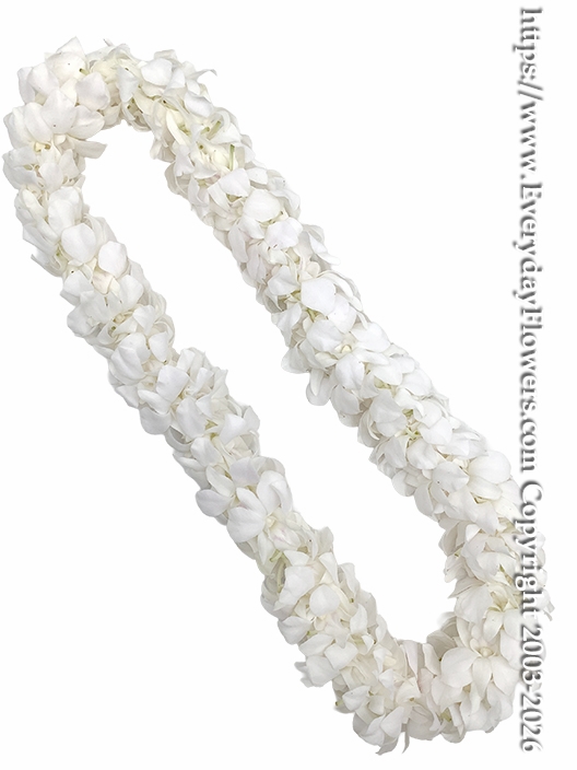 White Orchid Lei <p style="color:red;">Only One Available 6/03/2026</p>