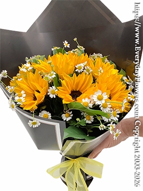 Wrapped Bouquet 10 Sunflowers