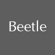 Beetle