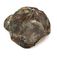 Ford Oval Logo Embroidered Camouflage Hat