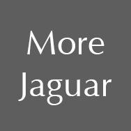 More Jaguar