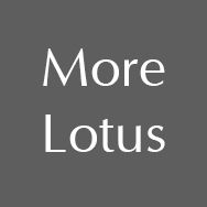 More Lotus