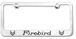Pontiac 1970's Firebird Engraved License Plate Frame 1970 - 1981