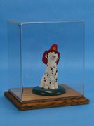 Acrylic Display Cases