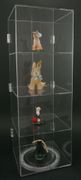 Acrylic Show Case