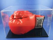 Boxing Glove Display