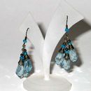 Fashion Earrings