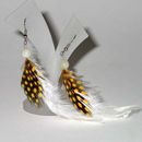 Fashion Earrings