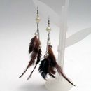 Fashion Earrings