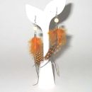Fashion Earrings