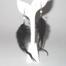 Fashion Earrings
