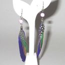 Fashion Earrings