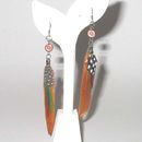 Fashion Earrings
