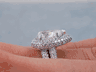 5.02 CTW PEAR SHAPE DIAMOND WEDDING RING SET G SI3-I1 (Includes a Matching Wedding Ring) 